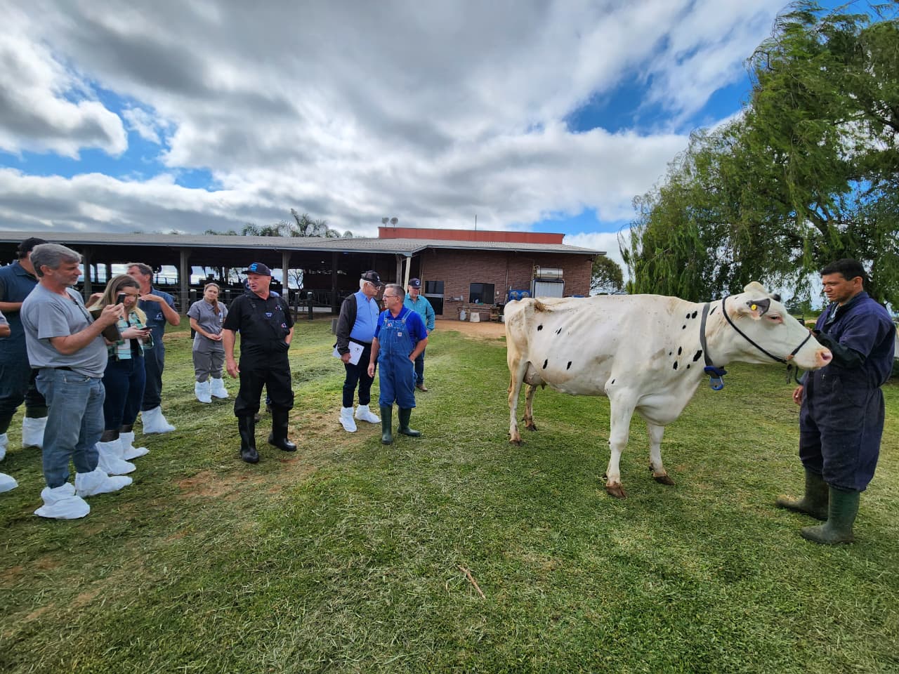 Equipe técnica da APCBRH participa do Curso de Atualização de Classificadores